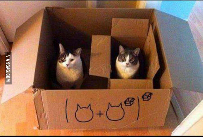 TM1 Input in Calculated Cells or Break Back